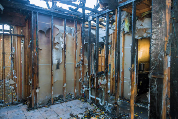 Professional Smoke Damage Removal technician working in Harris, MN